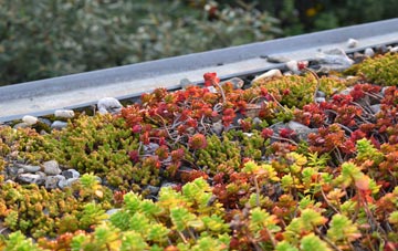 the cost of Preston On Wye green roof installation
